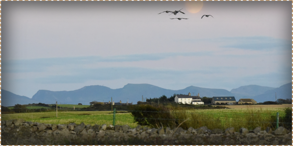 A picture of the mountains of the Llyn peninsula, viewed from our luxury bed and breakfast. This image is being used as a blog header.